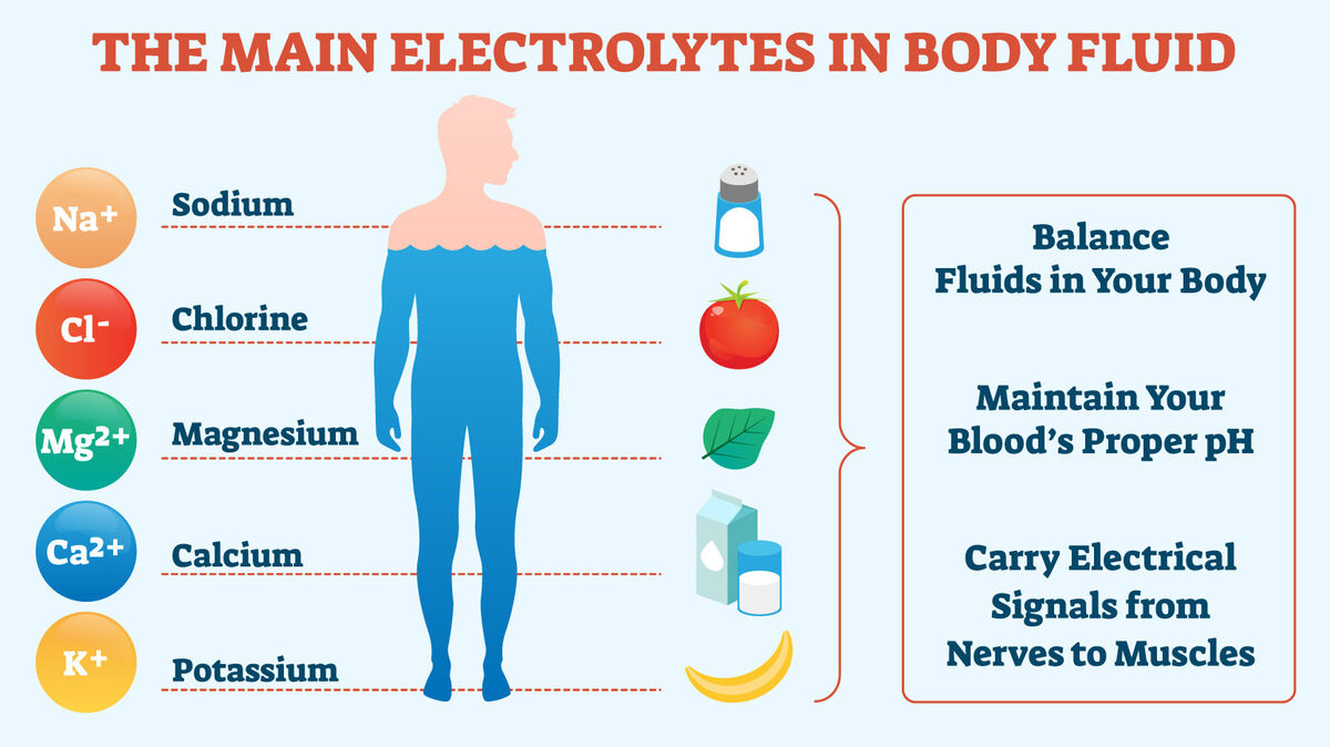 Understanding Electrolytes and Hydration