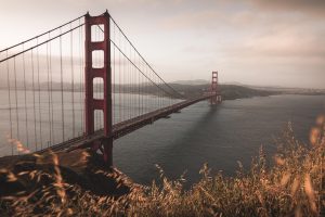 A Love Letter to San Francisco