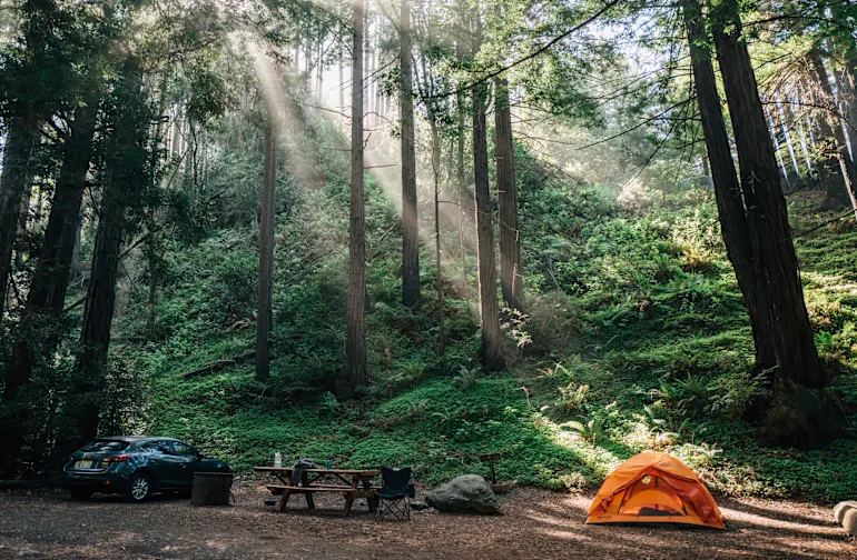 "15 California State Parks That Belong on Your Bucket List"