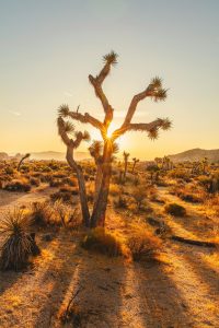 Photo by Explore with Joshua on Unsplash

