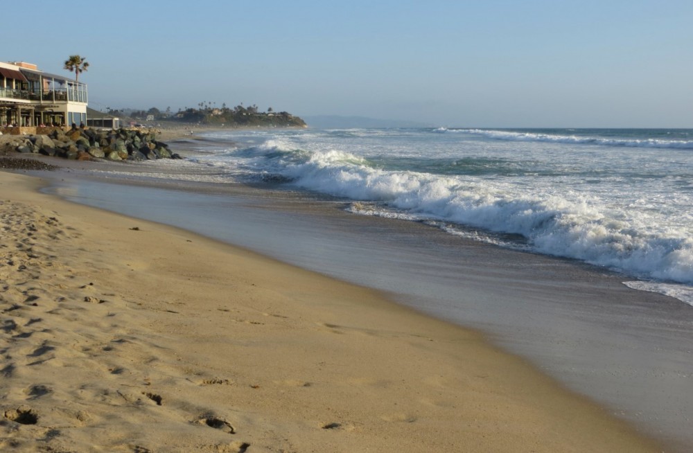 Cardiff State Beach: A Coastal Canvas of Community and Conservation