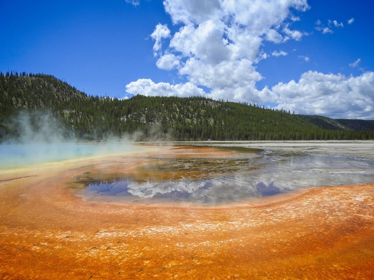 Yellowstone National Park: Where the Earth Breathes and Leaders Rise
